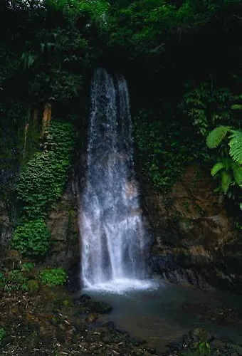 Gajah Mas Hotel 3*